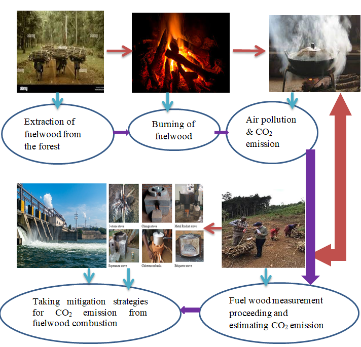 Household Fuelwood Consumption and Its Implication for Carbon Dioxide Emission