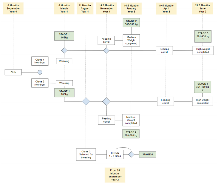 A Mixed Integer Linear Programming Model for Livestock Planning