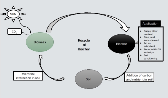 Regenerative Biochar for Carbon Sequestration and Emerging Technologies in Soil Organic Carbon Management for Sustainable Agriculture: A Review
