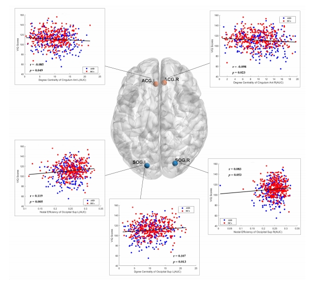 Network Signatures of Verbal Ability in Autism: A Multisite fMRI Study Using Graph Theory and Machine Learning