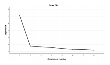 Exploring Items for Measuring Social Media Construct: An Exploratory Factor Analysis