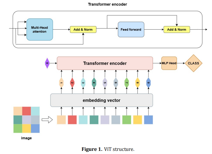 DHE: A Semantic-Preserving Framework for Robust Post-Training Quantization of Vision Transformers