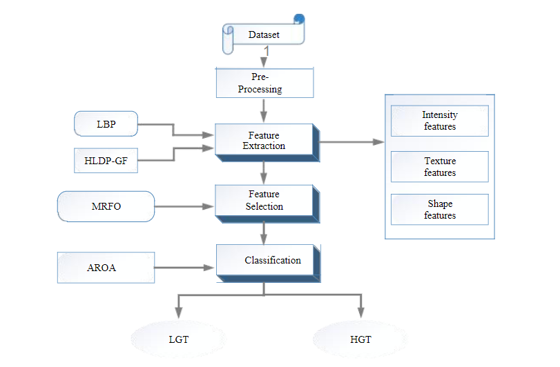 Hybridized Deep Neural Network Using Adaptive Rain Optimizer Algorithm for Multi-Grade Brain Tumor Classification of MRI Images