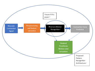 On the Gesture Recognition of a Faint Phantom Motion for the Control of a Transradial Prosthesis amidst varying Contraction Forces