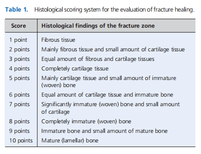 Can local administration of humic acid shorten recovery time of mandibular fractures? Experimental study
