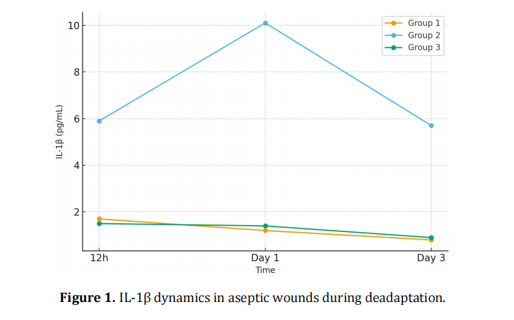 Altitude-Induced Immunological Changes in Experimental Wound Healing