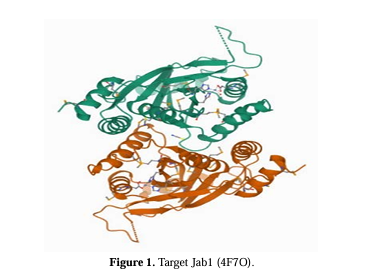 Screen natural terpenoids to identify potential Jab1 inhibitors for treating breast cancer