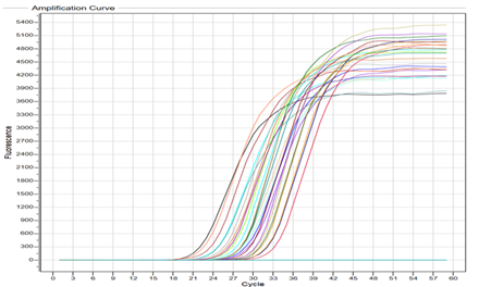 Estimation of gene expression level of CDH1 as a predisposing factor for metastasis in localized and locally advanced and metastatic breast cancer Iraqi patients