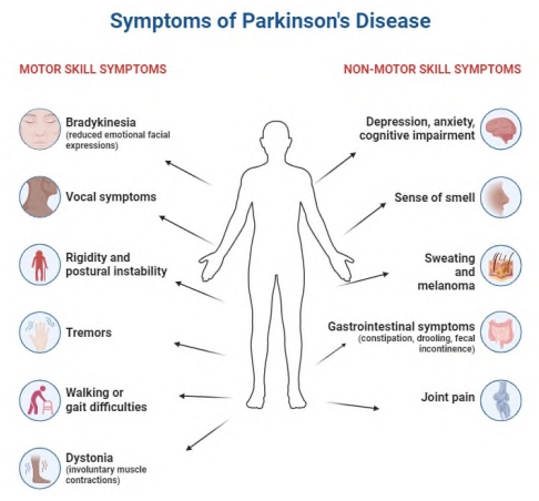 Harnessing artificial intelligence for enhanced Parkinson&rsquo;s disease management: Pathways, treatment, and prospects