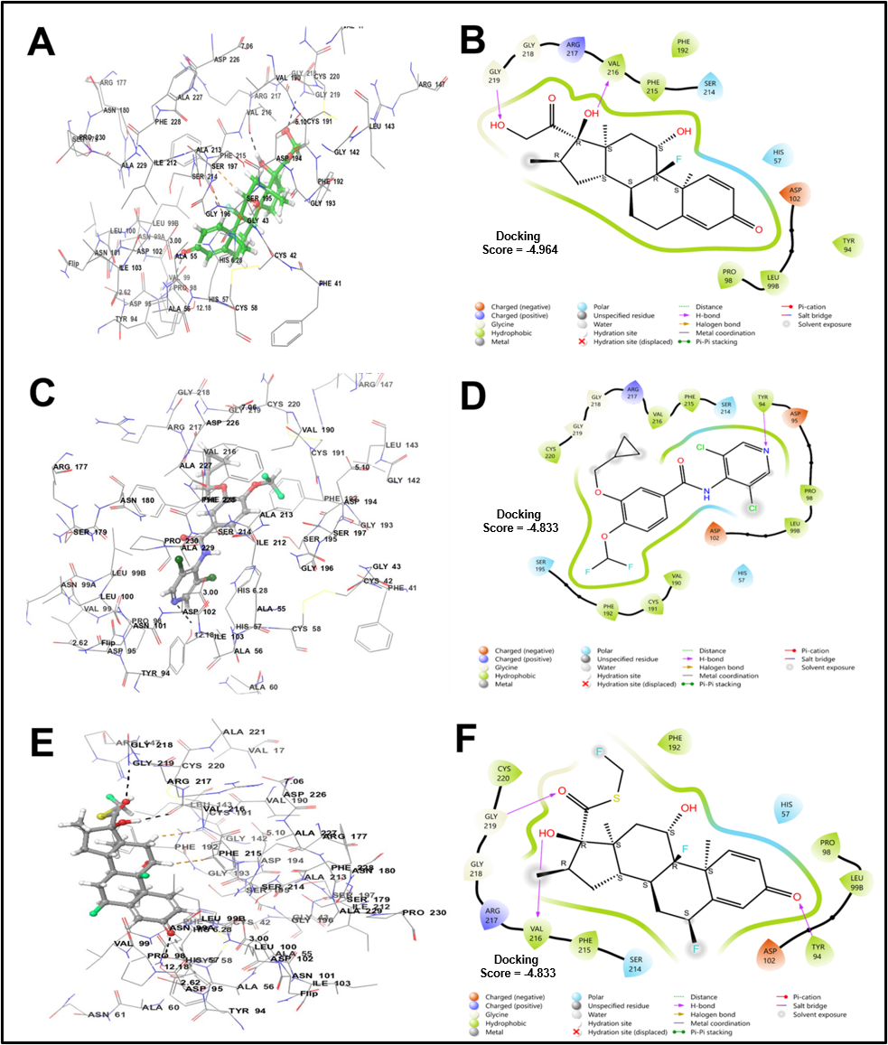 In-silico screening of phytochemicals from Tridax procumbens. Linn against human neutrophil elastase targeting chronic obstructive pulmonary disease