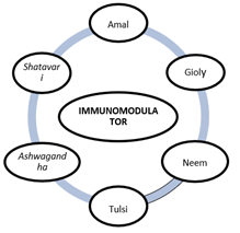 Concept and role of immunomodulatory medicinal plants used in Ayurvedic health care system